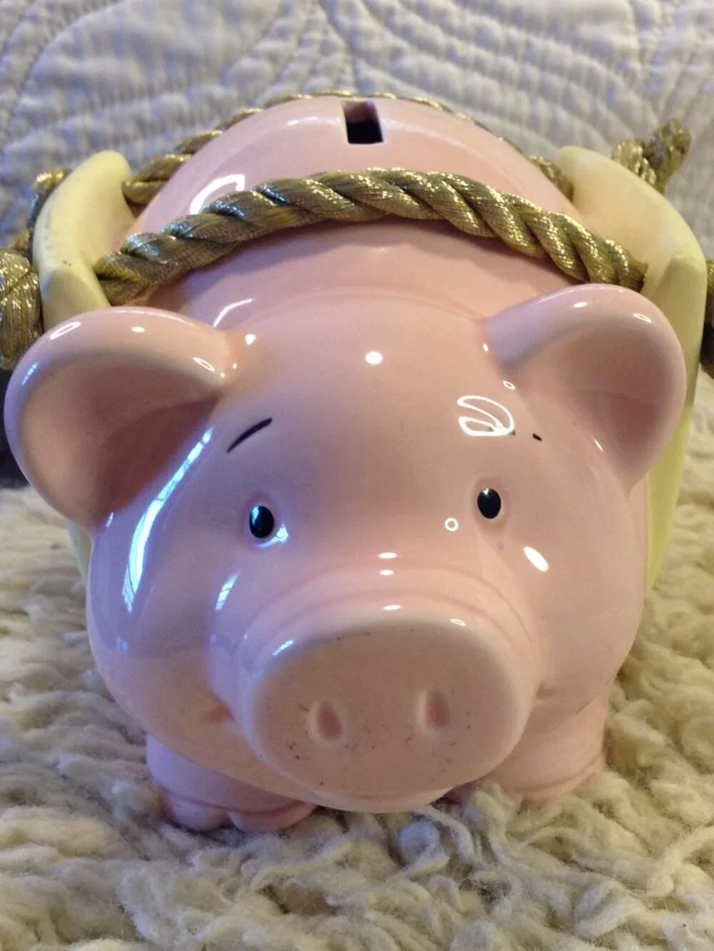 VTG 2001 Ceramic Coin Banks Pig/Racoon Kidcore Start Saving Ceramic Nostalgic